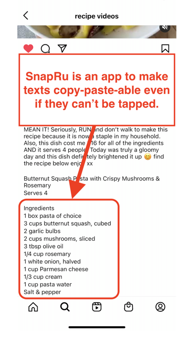 SnapRu Screenshot