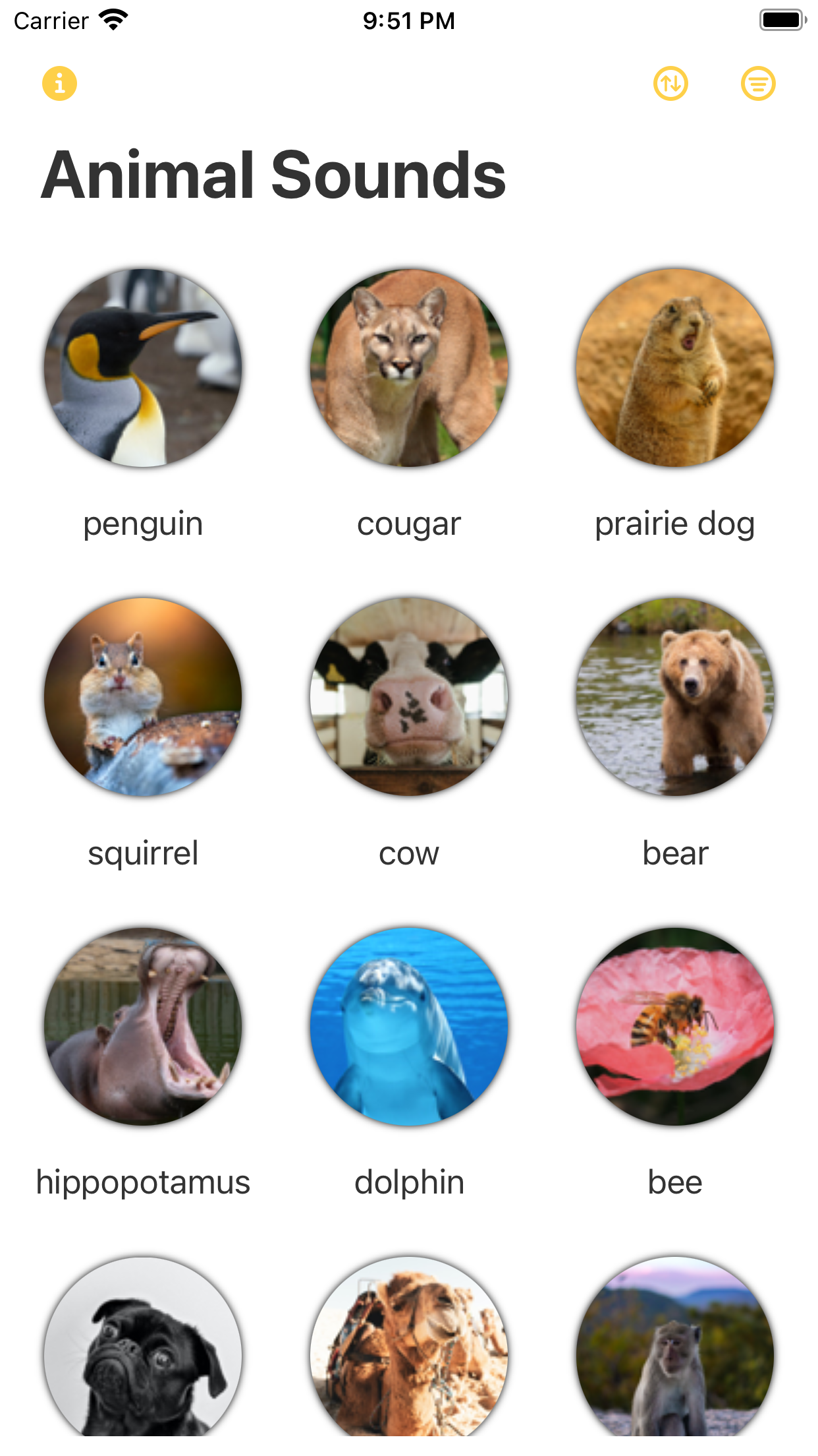 Discovery: Animal Sounds!