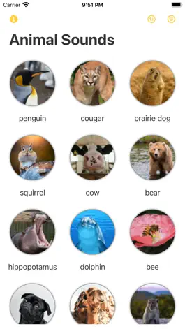 Game screenshot Discovery: Animal Sounds! mod apk