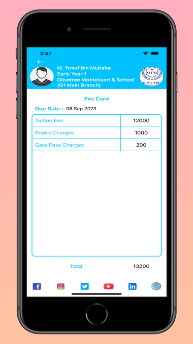 Olive Tree Montessori & School Screenshot