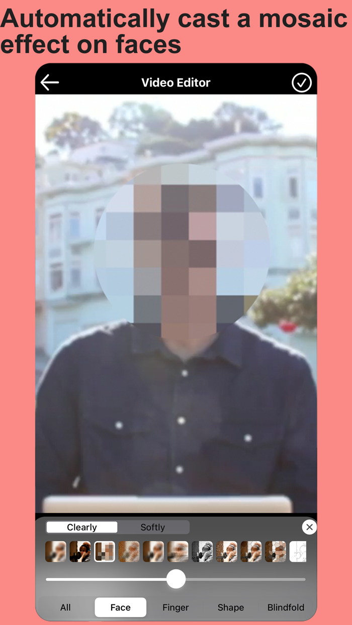 Blur Video and Mosaic