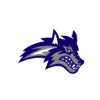 Snowflake Unified icon
