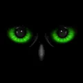 Night Eyes - Night Camera