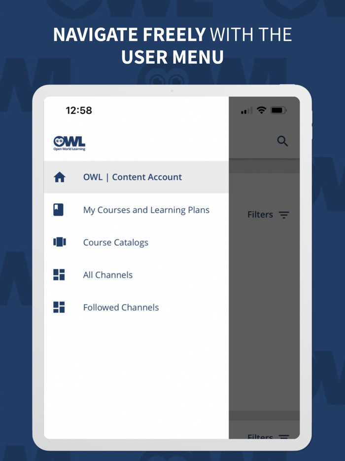 OWL - Open World Learning