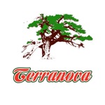 Download Terranova Düsseldorf app