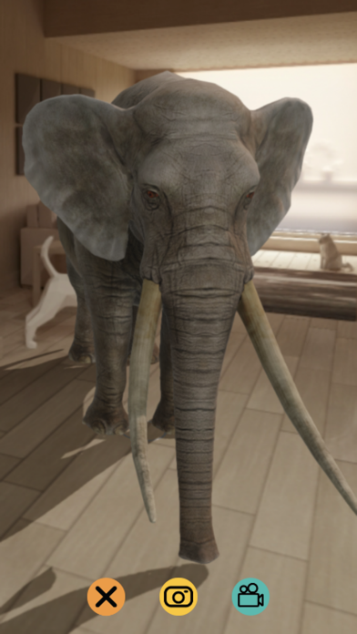 Magic Experiences app screenshot 2