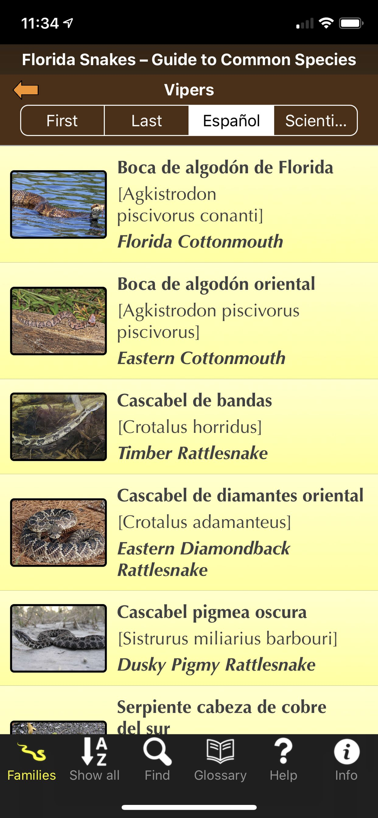 Florida Snakes screenshot 5