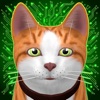 Stray Cat Adventure Simulator icon