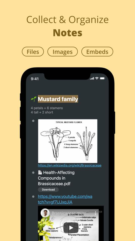 #1. WorkFlowy: Note, List, Outline (iOS) 由: FunRoutine INC