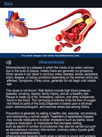 My Heart Anatomyのおすすめ画像6