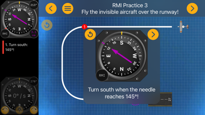 ADF + RMI (IFR) Instructorのおすすめ画像1