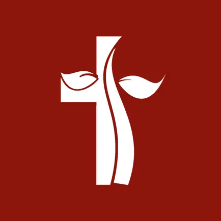 Fairview Road Church of Christ Cheats