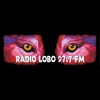 RADIO LOBO 97.7 icon