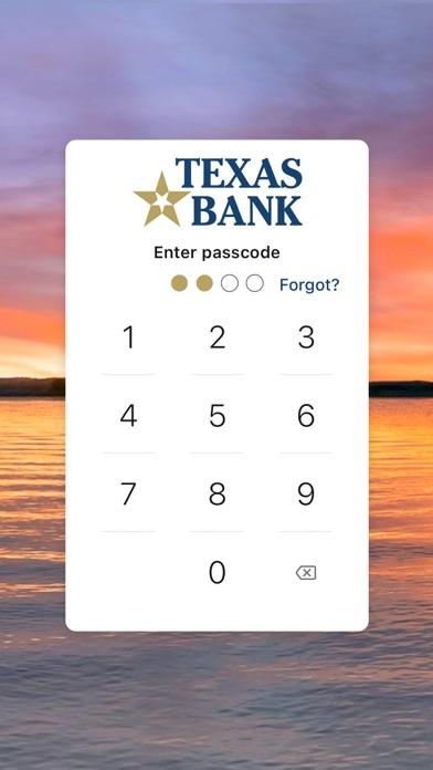 Texas Bank Mobile Banking Screenshot
