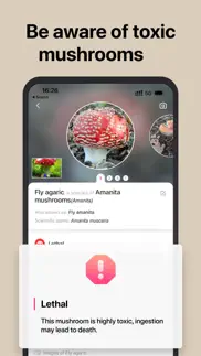 picture mushroom: fungi finder iphone screenshot 3