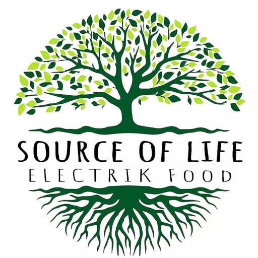 Source Of Life icon