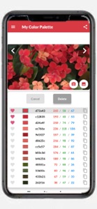 My Color Palette with Photos screenshot #5 for iPhone