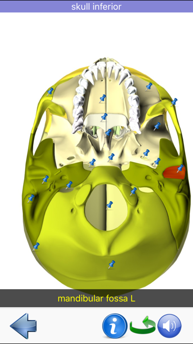 Visual Anatomyのおすすめ画像9