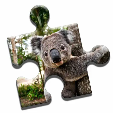 Koala Love Puzzle Cheats
