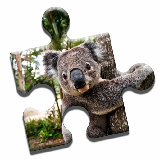 Koala Love Puzzle icon