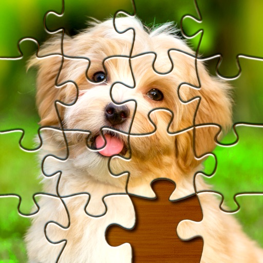 Jigsaw Puzzles: Photo Puzzles Icon