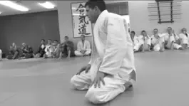 Game screenshot The White Belt Bible, Judo,BJJ apk
