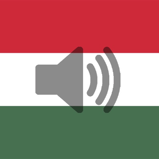 Hungarian Phrasebook