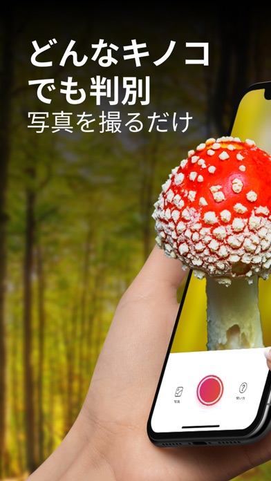 Picture Mushroom - 1秒キノコ図鑑スクリーンショット