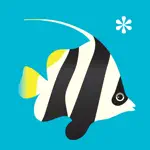 Peek-a-Zoo Underwater Sounds App Positive Reviews