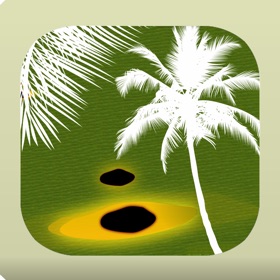 螢幕擷取畫面 (2) Palm Symptoms Key
