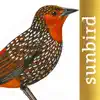 All Birds North. South America problems & troubleshooting and solutions