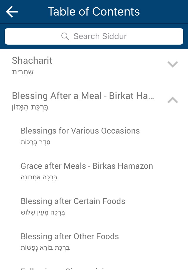 Siddur – Linear Edition screenshot 3