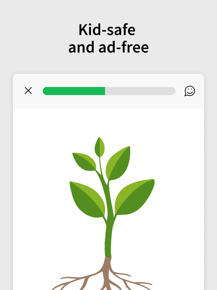 ANTON Kindergarten - Grade 8