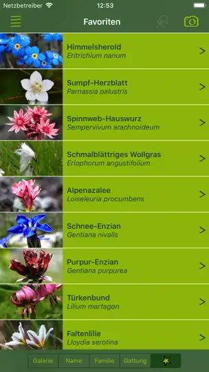 Screenshot von Alpenblumen Finder Europa auf dem iPhone 3