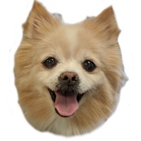 Pmail app icon - Navigation app for iPhone