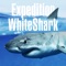 Welcome to Expedition White Shark, the world’s first app designed to track adult white sharks in real time