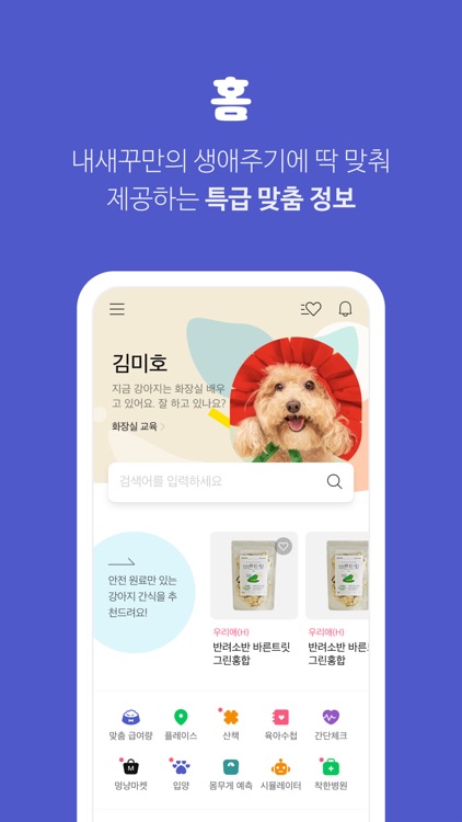 멍냥보감