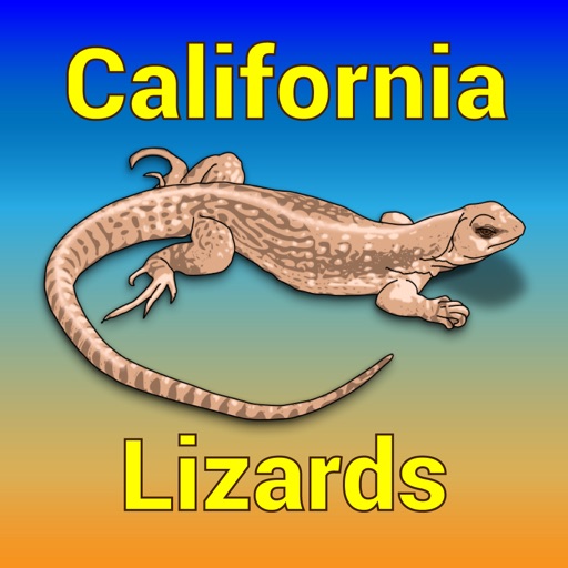 California Lizards icon