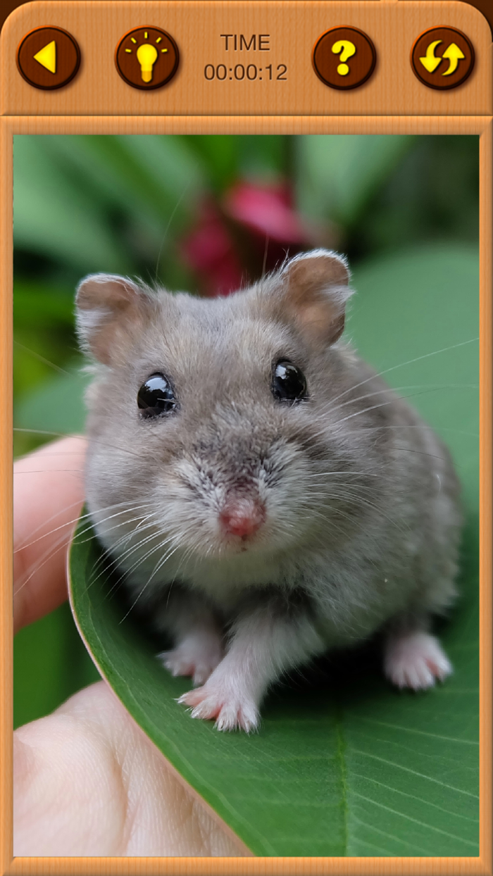 Hamster Jigsaw Puzzle Games
