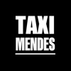 Mendes Taxi Luxembourg icon