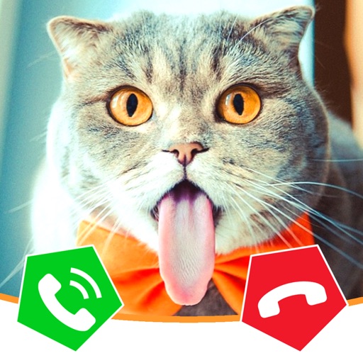 Call Cat 2 iOS App