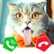 Call Cat 2