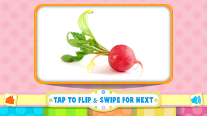 Tamizh Flash Cards- Vegetables Screenshot
