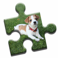 Jack Russell Puzzle