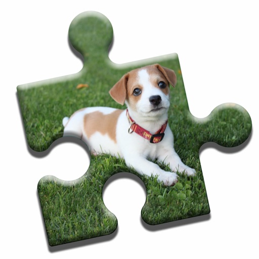 Jack Russell Puzzle icon