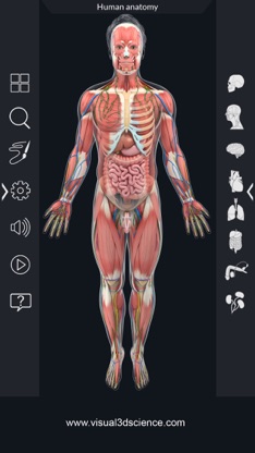 Human Anatomy screenshot 3