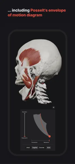 Game screenshot Skull, Teeth & TMJ apk