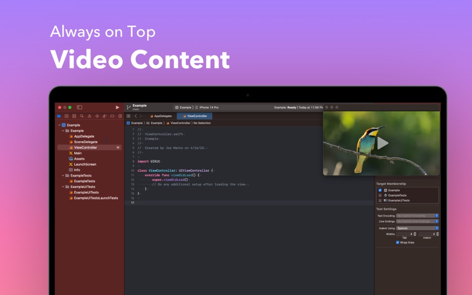 #3. Super Window: Content Viewer (macOS) 来自: Joe Manto