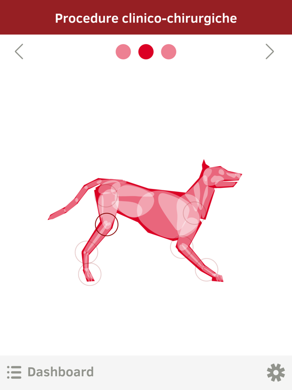 Screenshot #4 pour OrthovetPlus