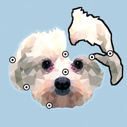 Embed Puzzle Cheats